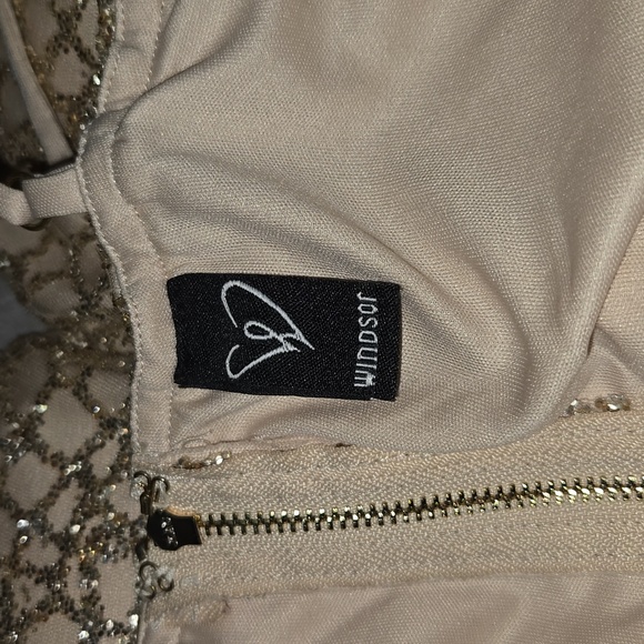 Windsor Gold Sparkling Dress - Picture 10 of 10